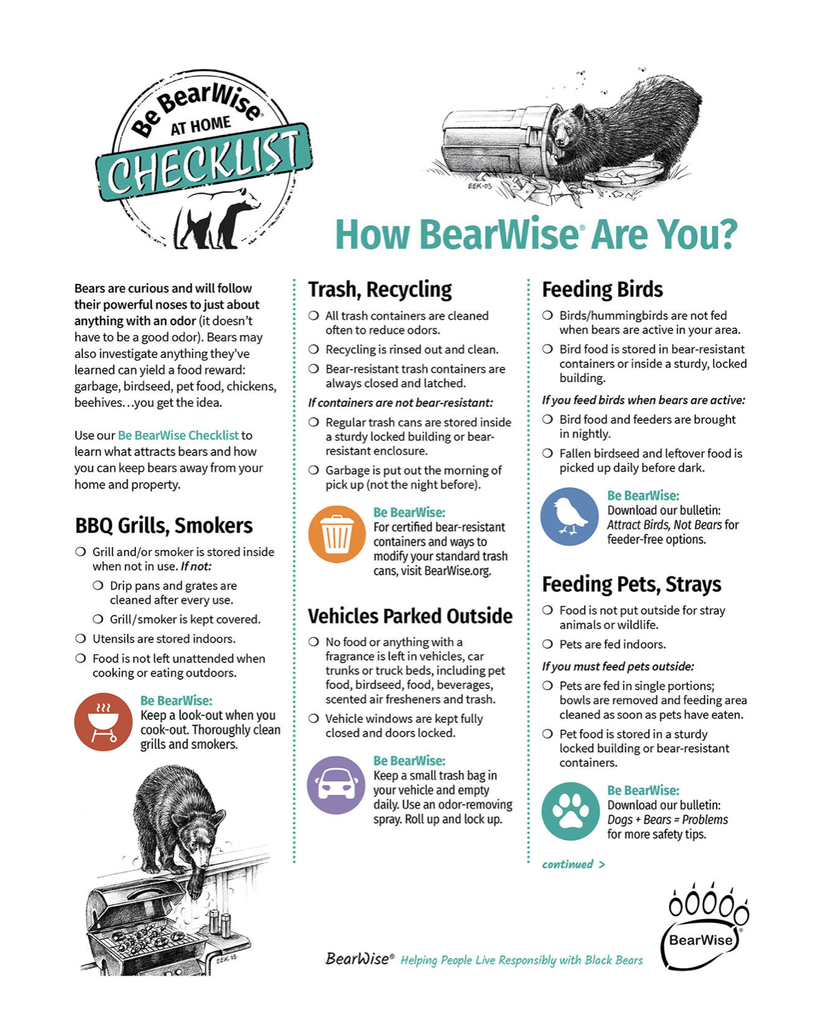 Bearwise 1.png