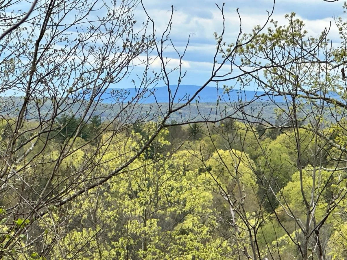 New trail to open in Hyde Park