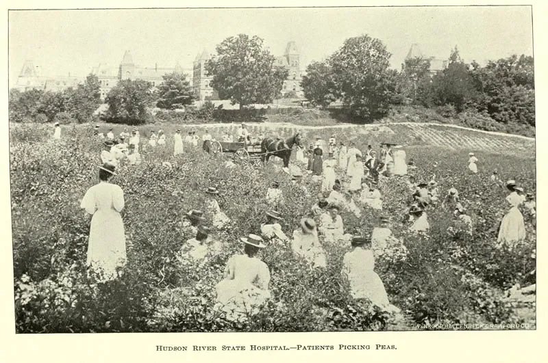 ‘Hudson River State Hospital and Mental Health in America’