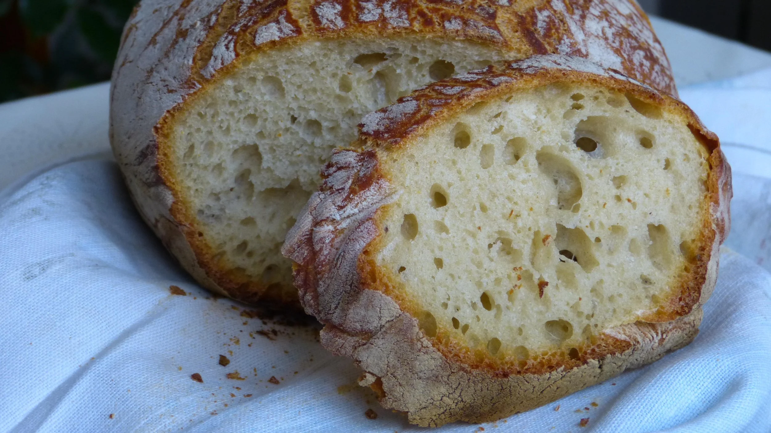 Neither Butcher, Candlestick Maker, Nor Baker Am I: Confessions of an Aspiring Sourdough Scientist