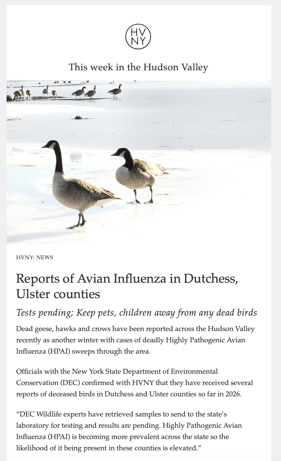 This week in the Hudson Valley (2/16/26)