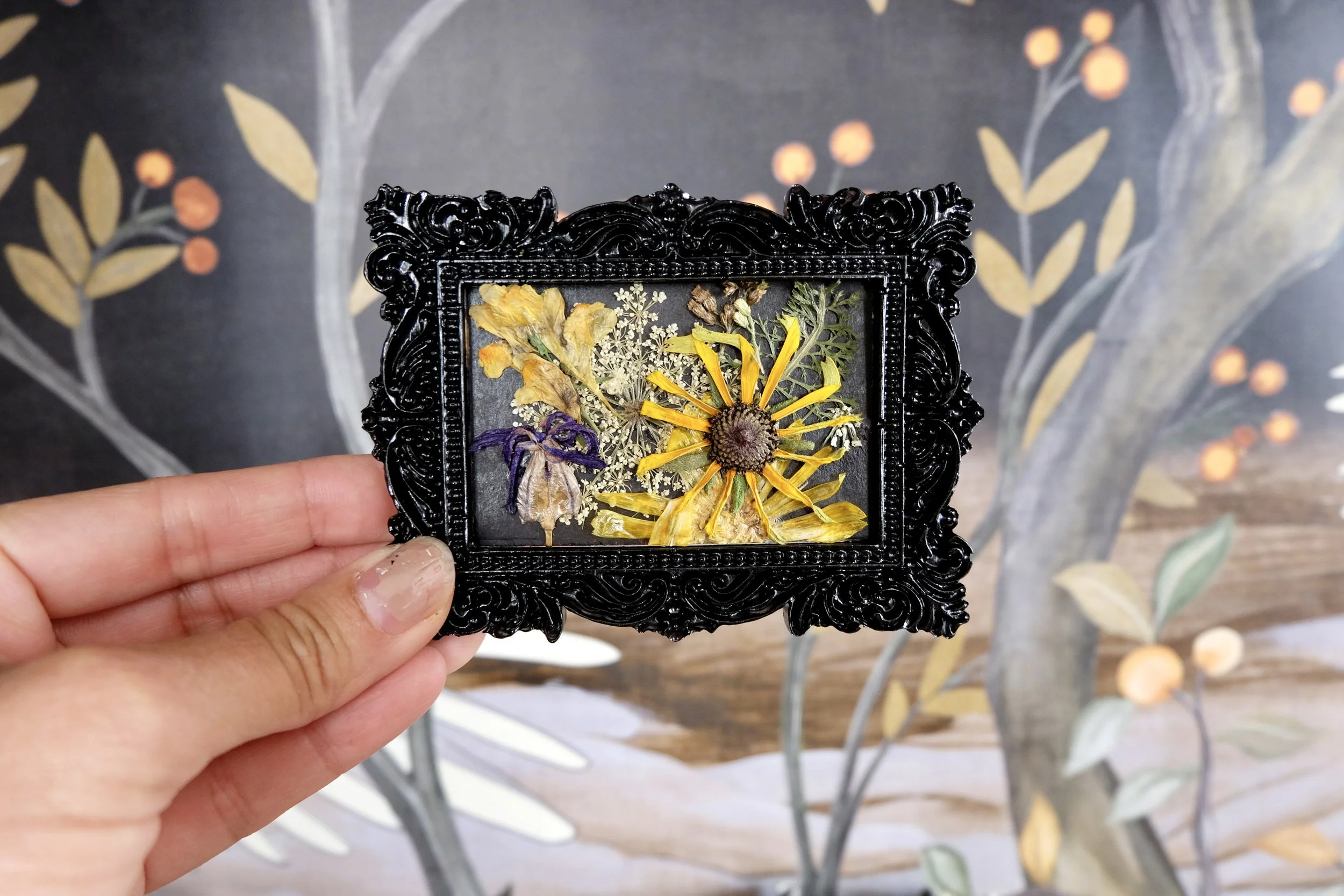 One-of-a-kind Framed Botanicals by Kimm Alfonso