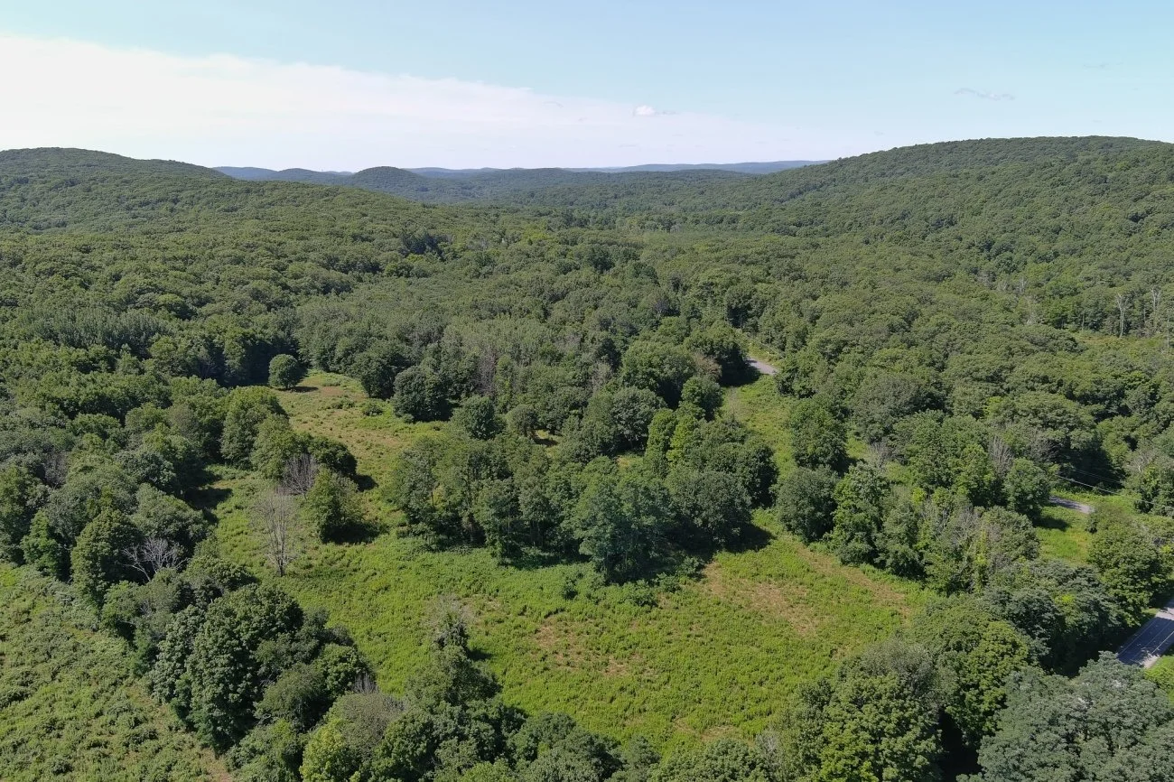 Input wanted for new state forest in Dutchess
