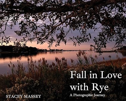 Rye book cover.jpg