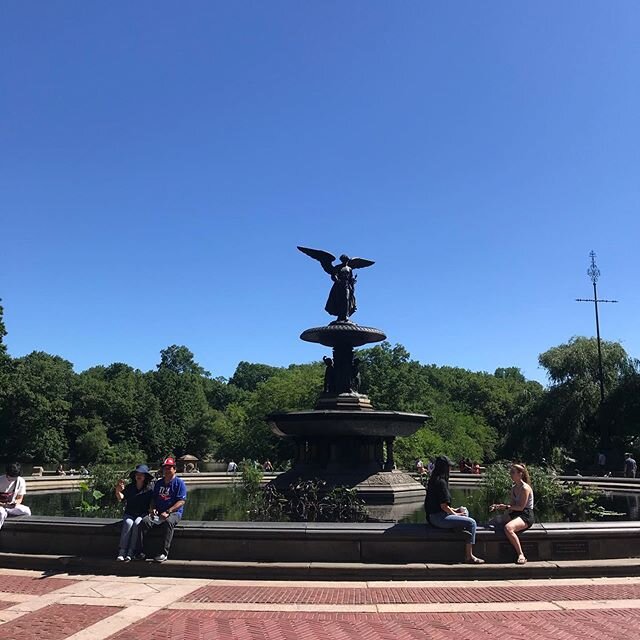 Saturday was absolutely gorgeous and I got to be outside a lot of the day. Morning in Central Park and evening in Riverside Park. #nyc #nofilter #centralpark #riversidepark