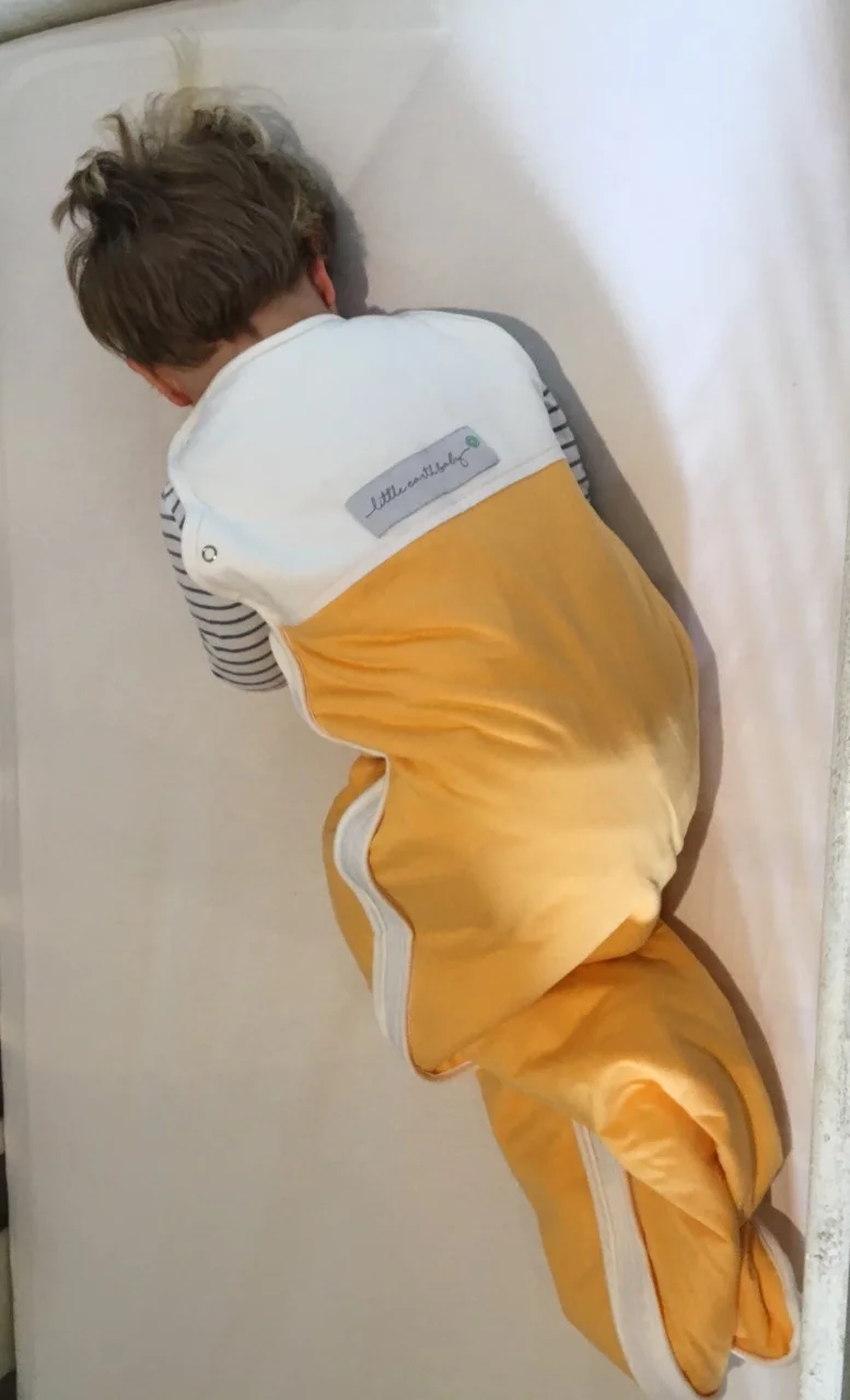 Yellow bag - Arlo face down.jpg