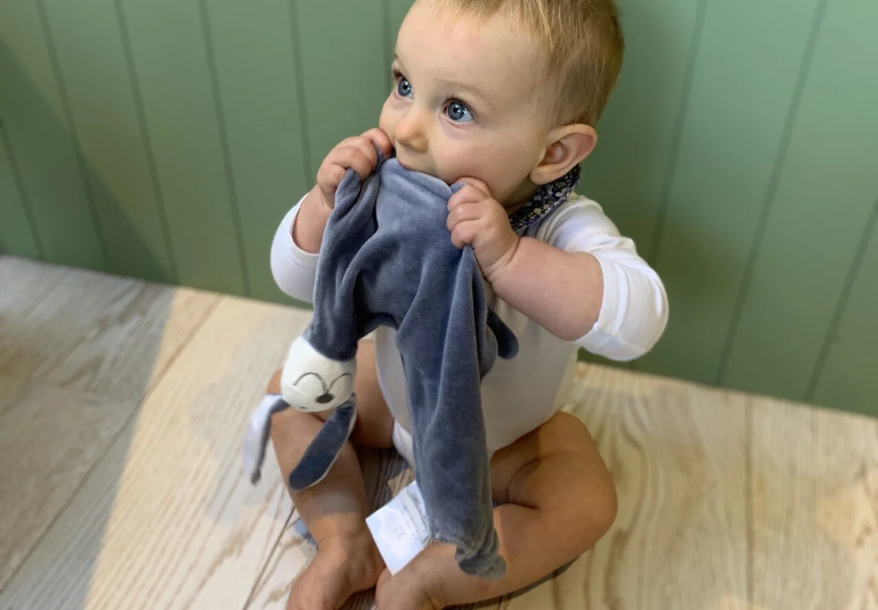 Organic baby comforter - Midnight Bunny
