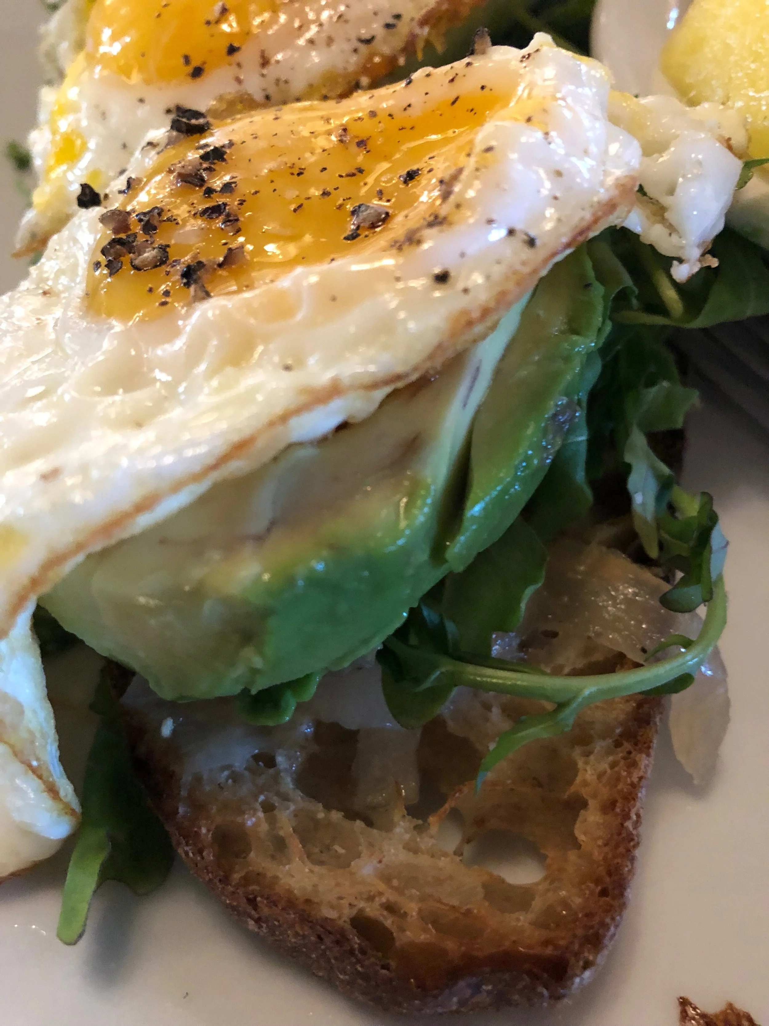 Avocado toast from Milk &amp; Honey