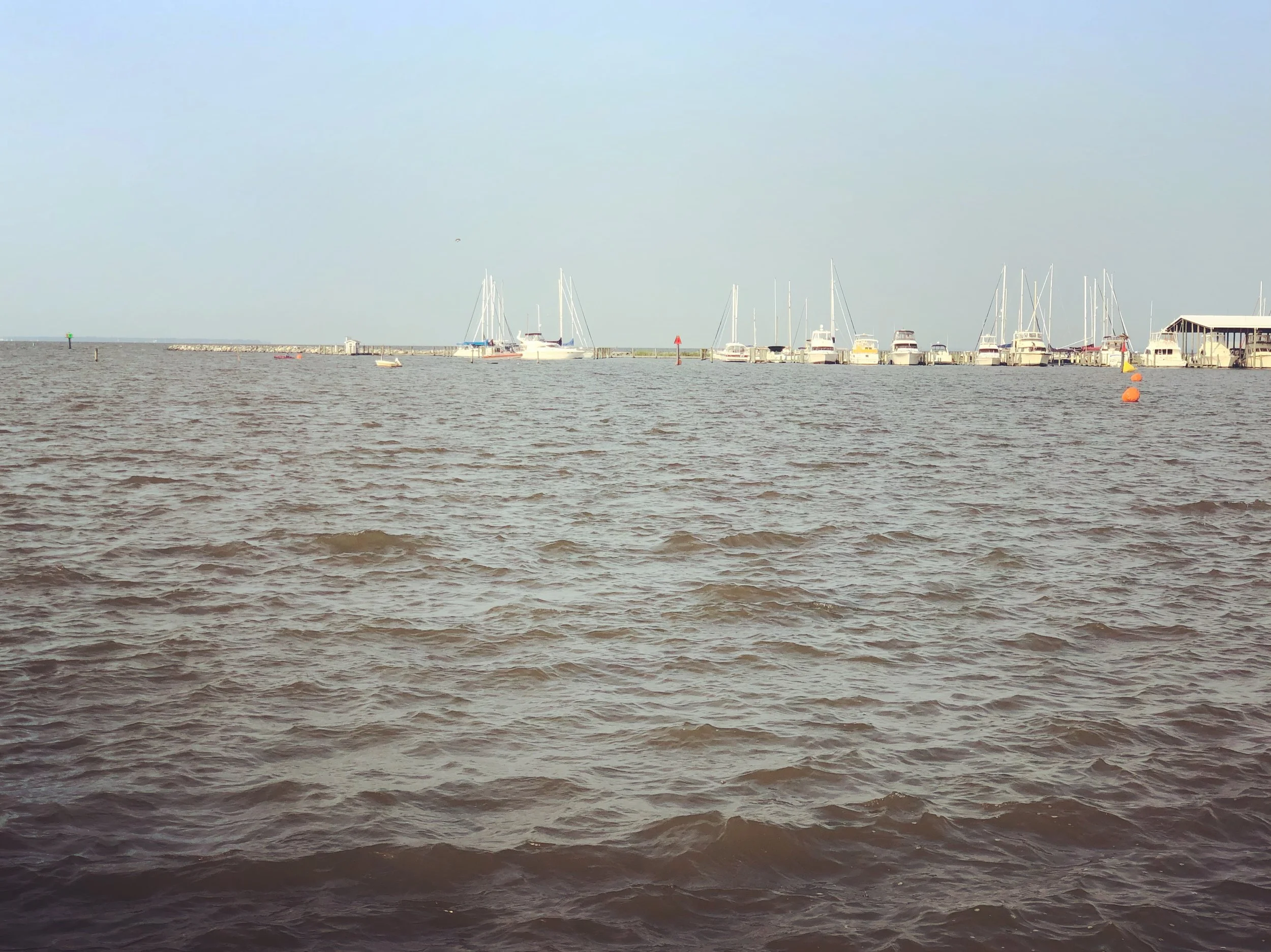 Swim Course - you can kind of see the buoys in the distance