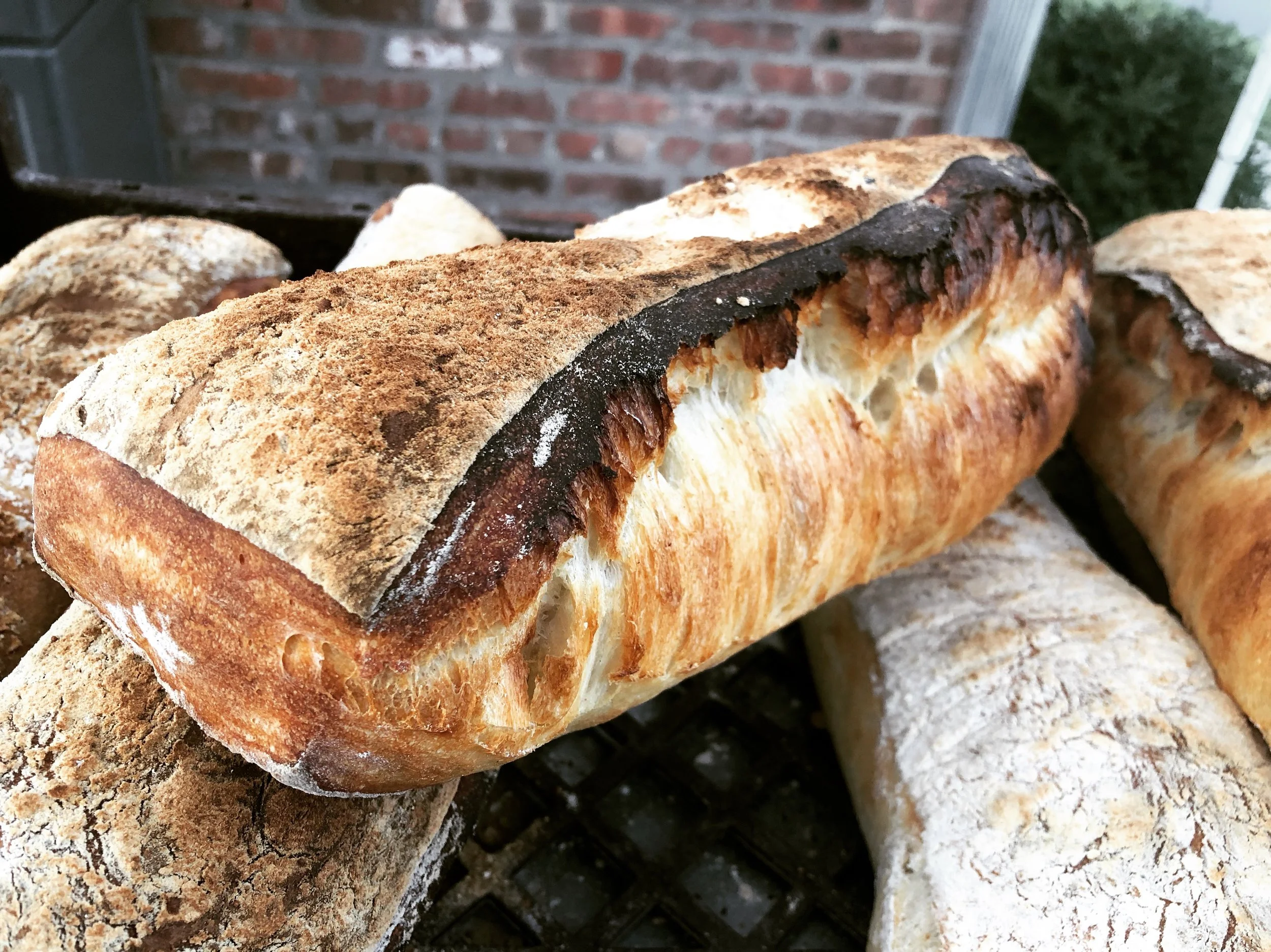 After another crazy Friday pizza night, the oven was still 500F at 4AM. I decided to take my chances and use it to bake my ciabatta. I’m so glad I did. This is probably the best bread I’ve ever baked. Simply unbelievable.