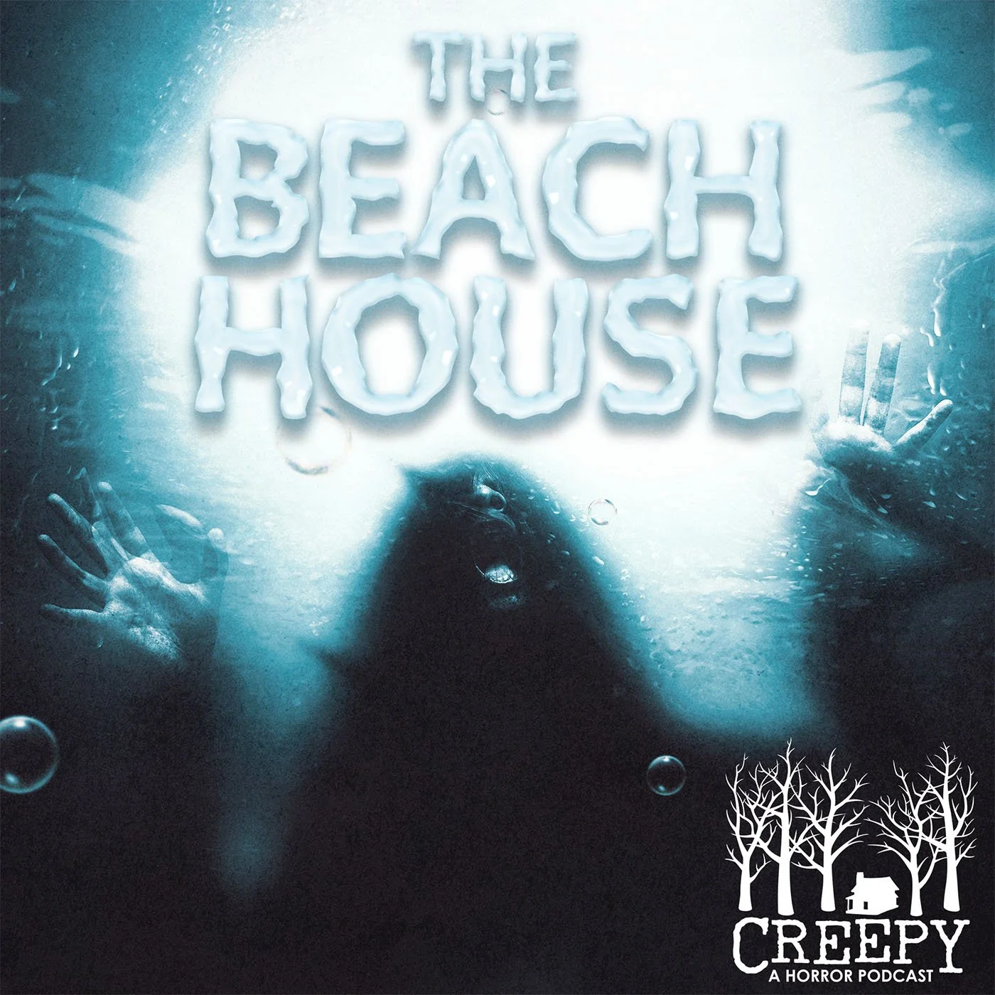 The Beach House
