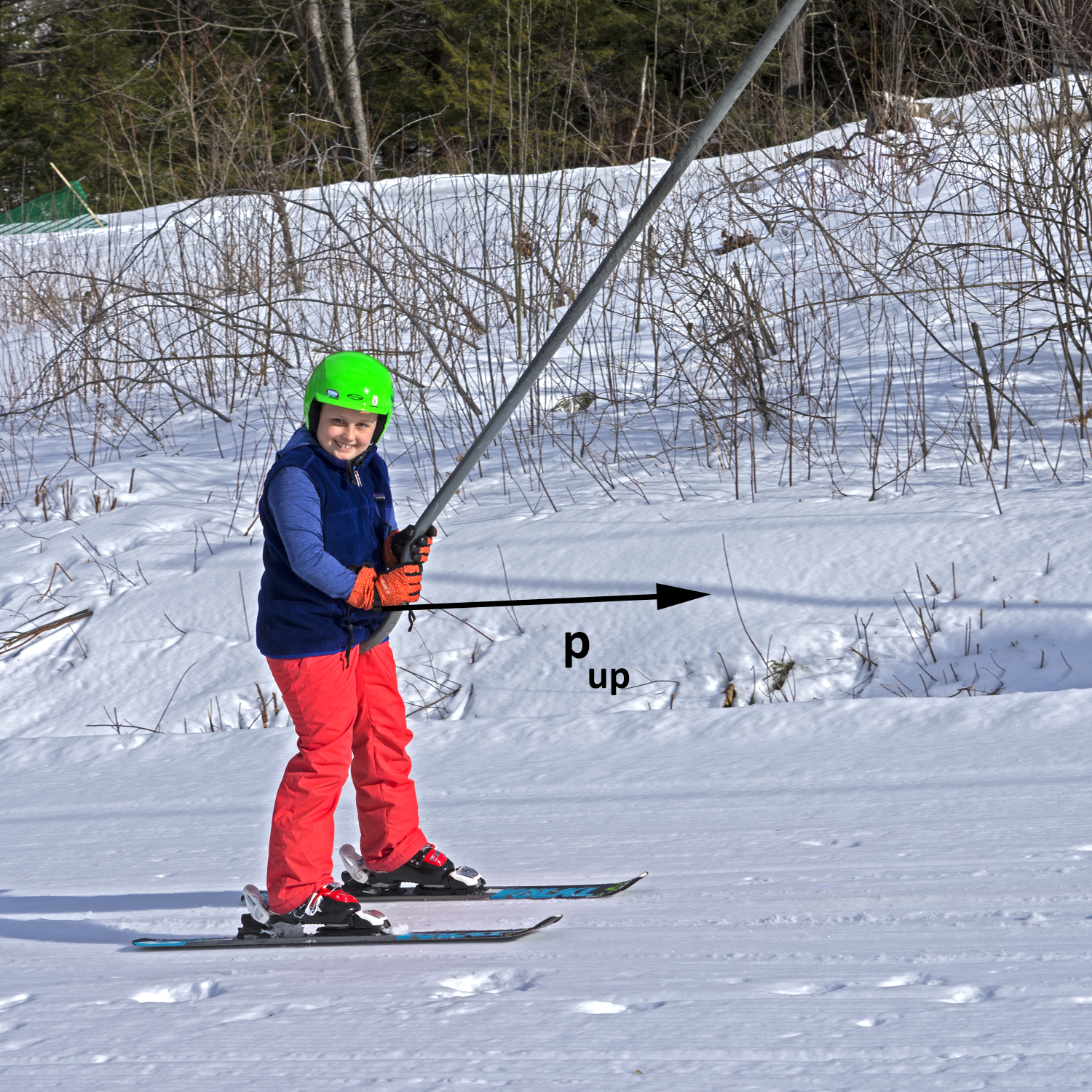 Skier_0086_1500x1500_v3.jpg