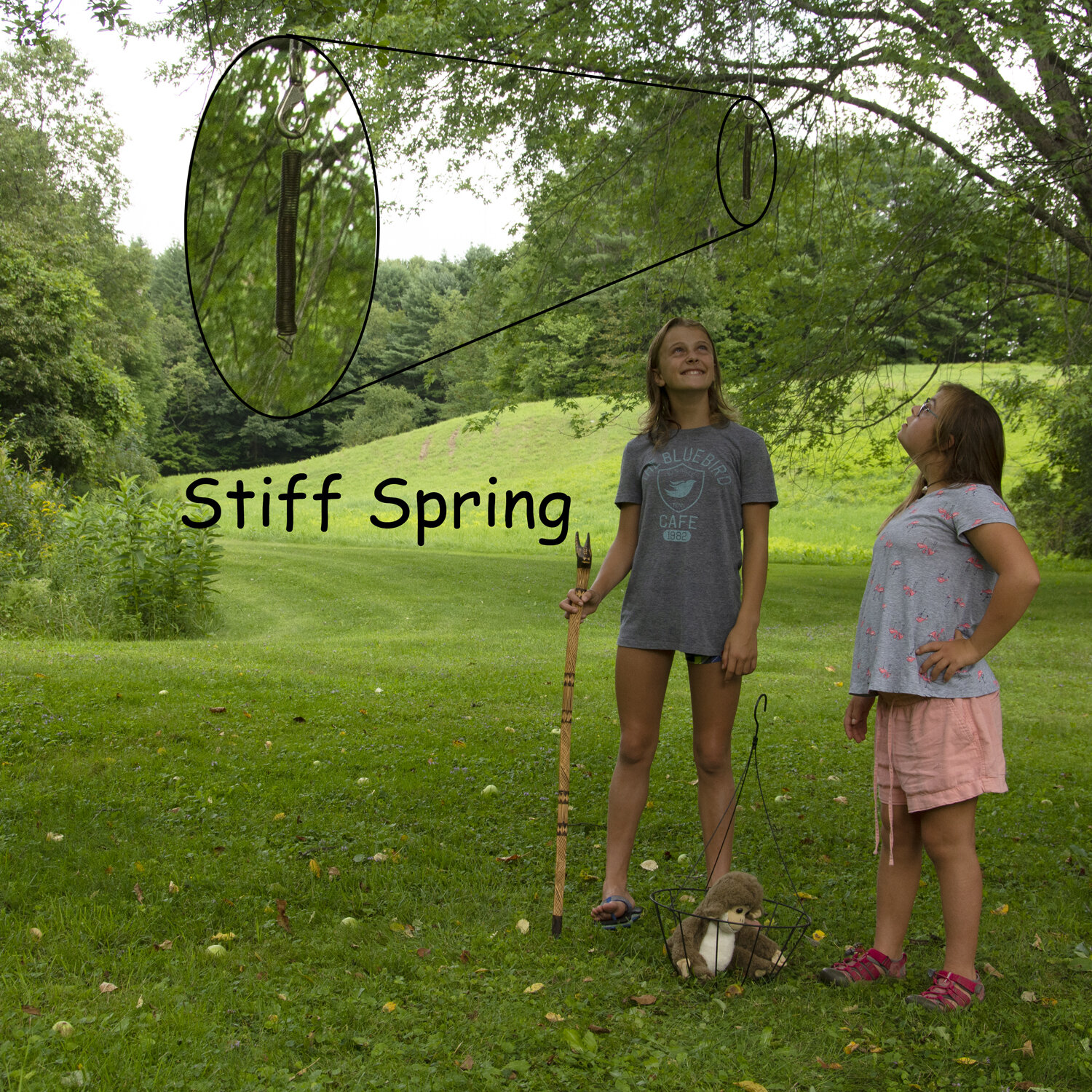 Stiff_Spring_745_1500x1500.jpg