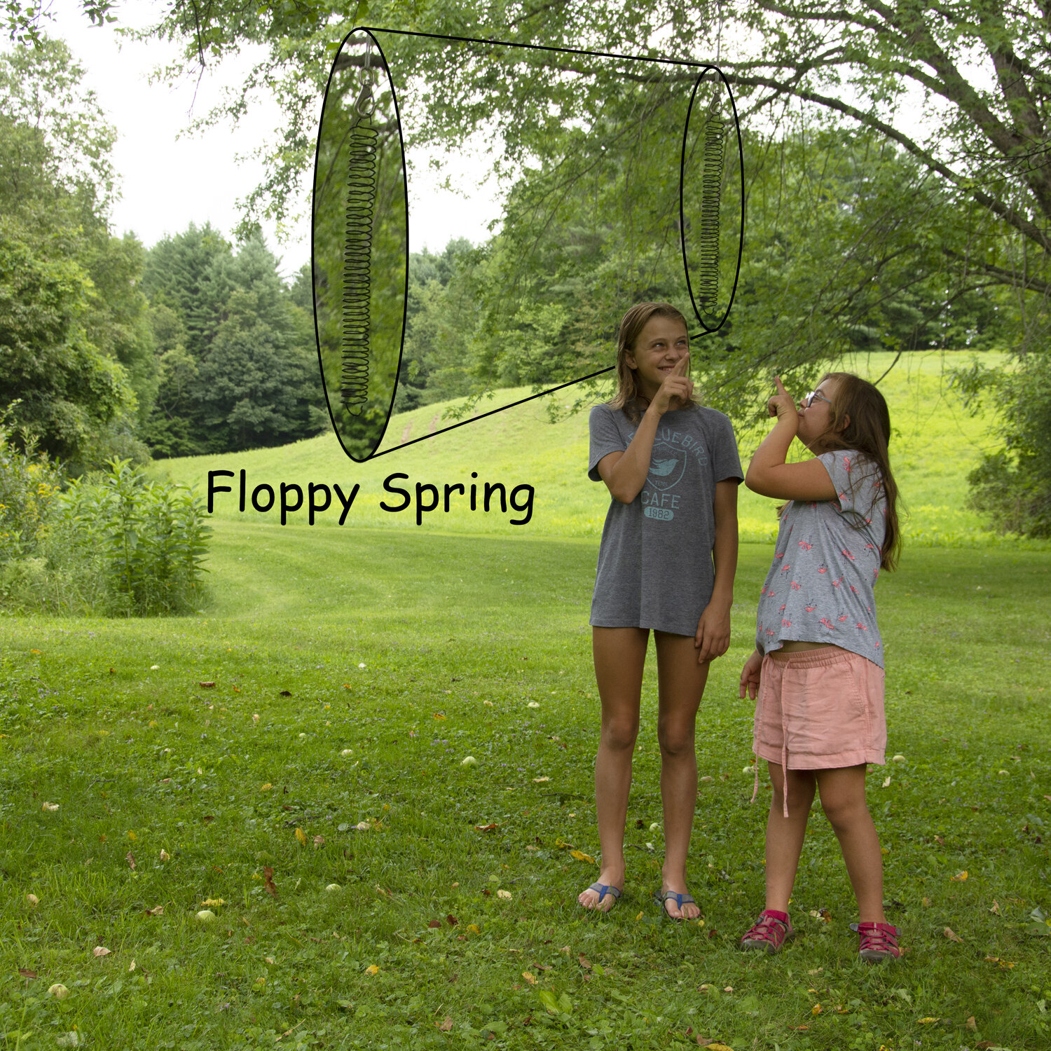 Floppy_Spring_740_1500x1500.jpg