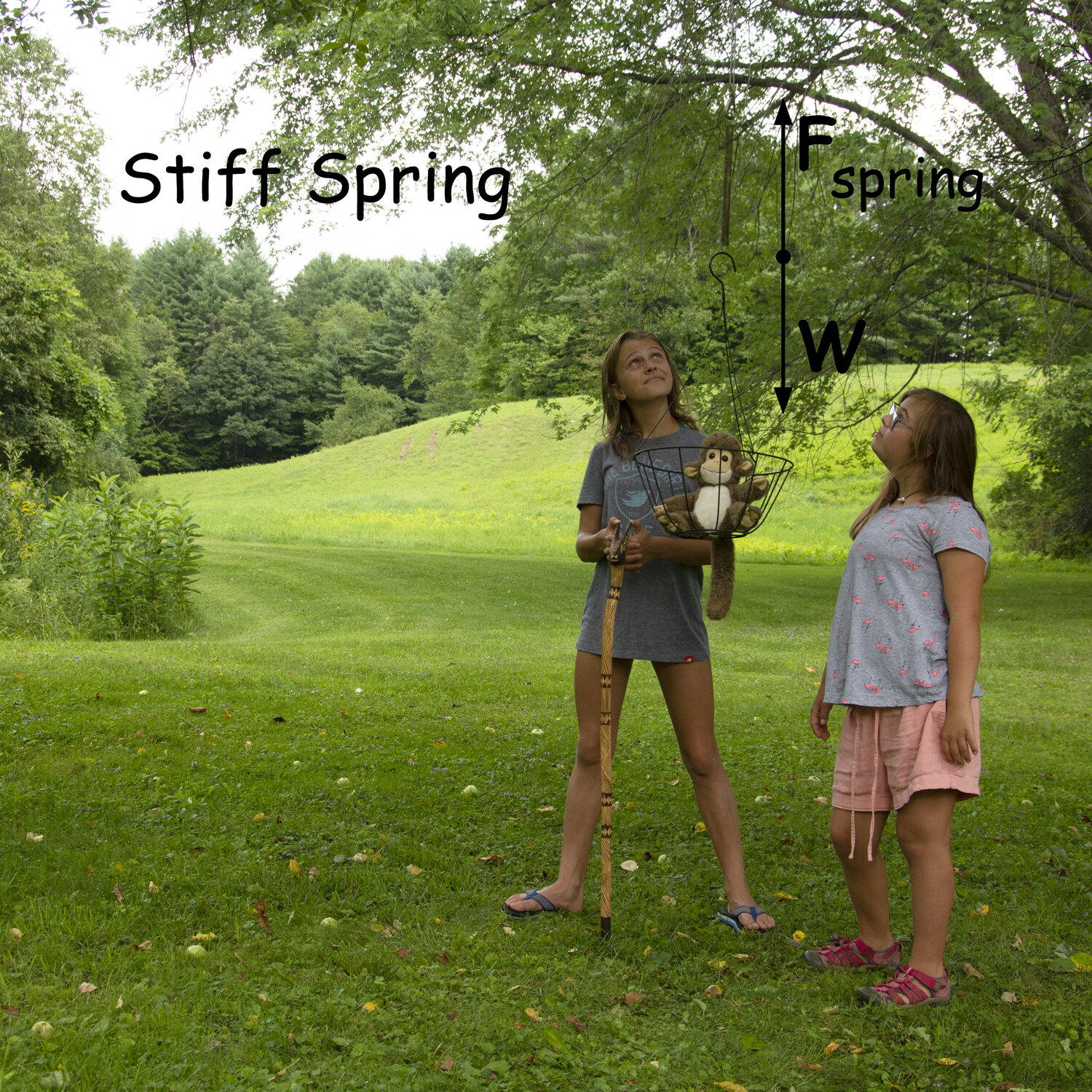 Stiff_Spring_746_1500x1500.jpg