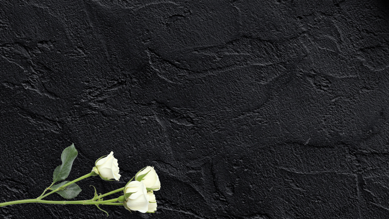 Untitled design (36).png