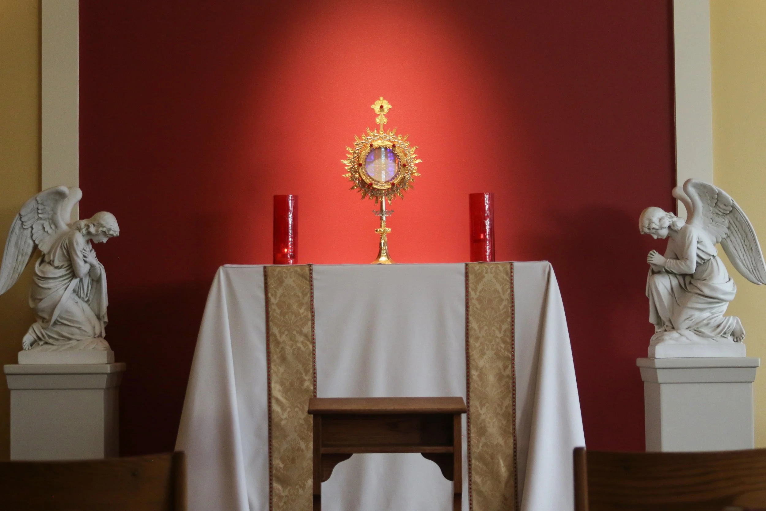 Photo for website .jpg