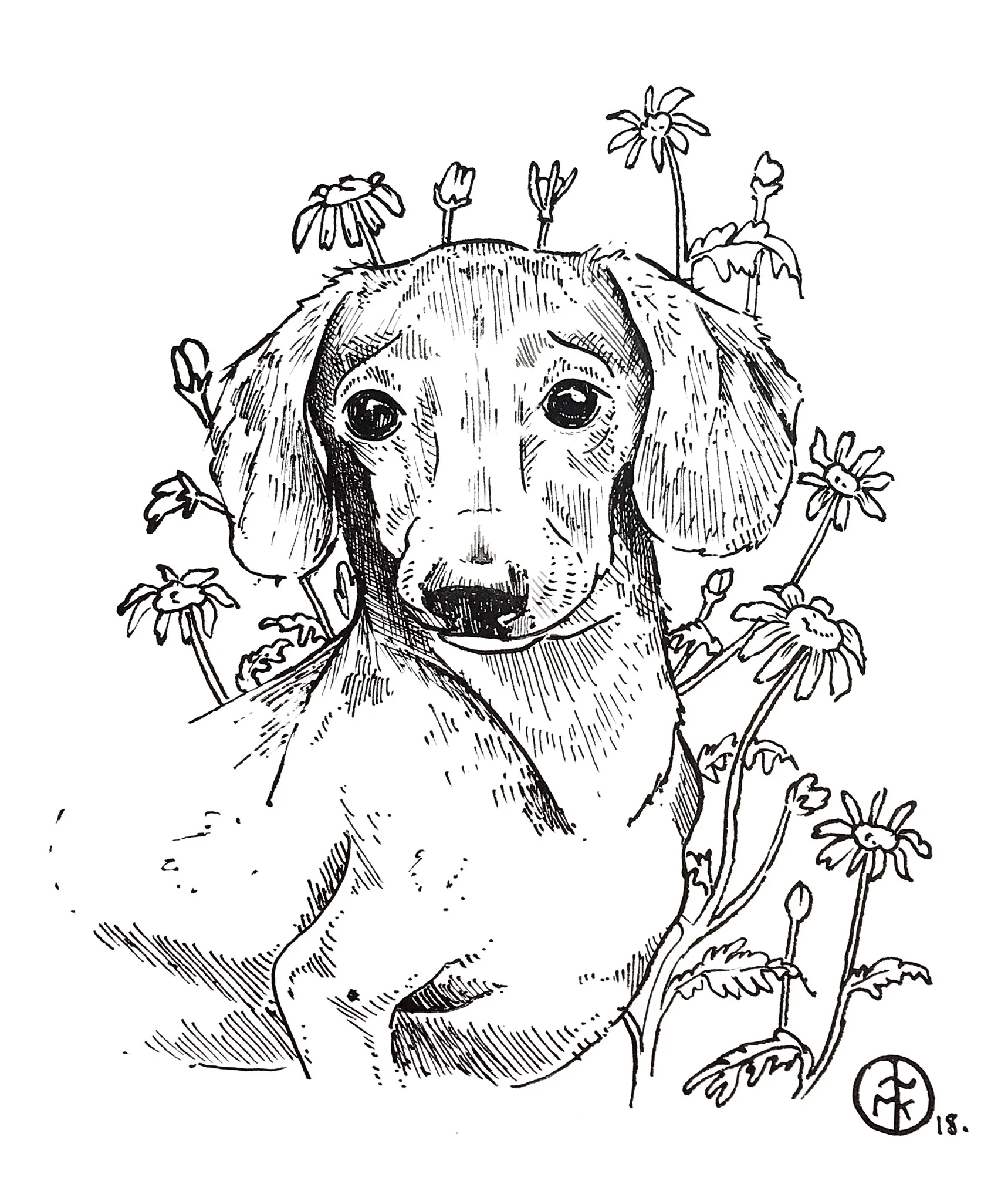 Dog Portrait.jpeg