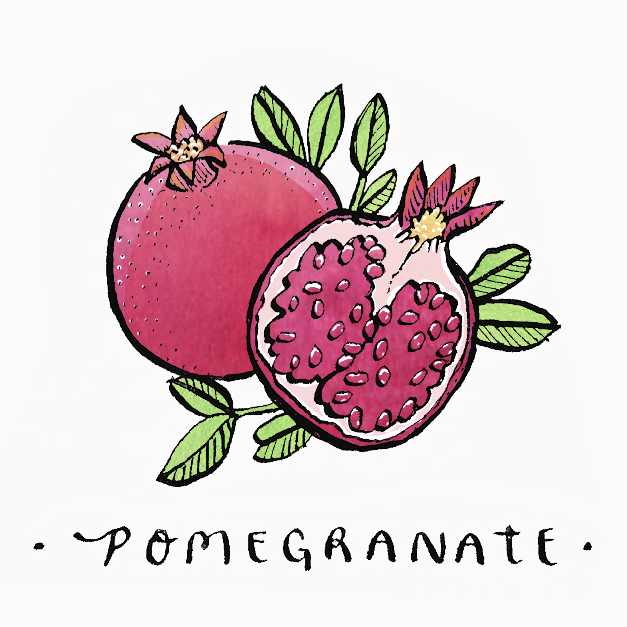 POMMIE.jpg