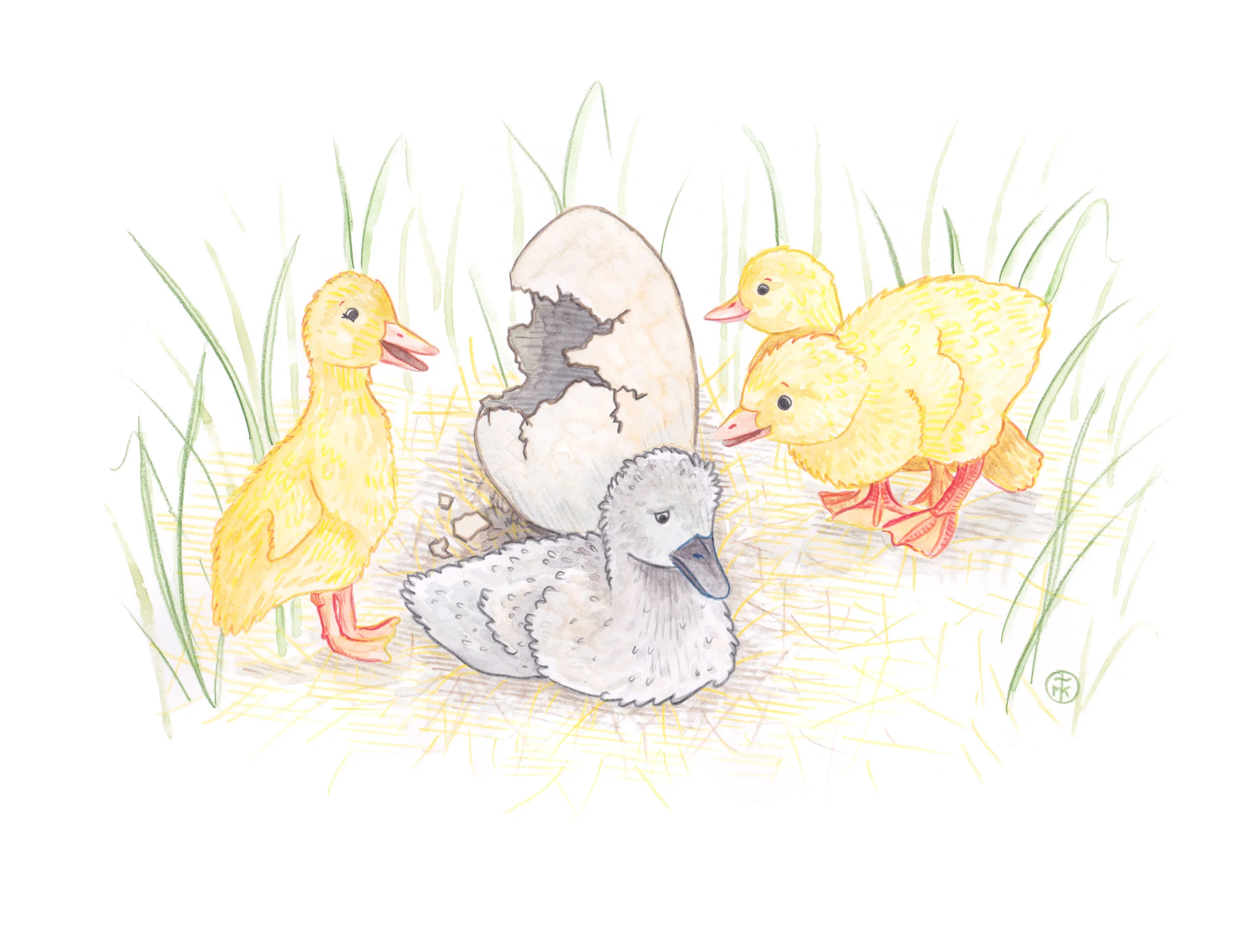 The-Ugly-Duckling---FOR-WEB.jpg