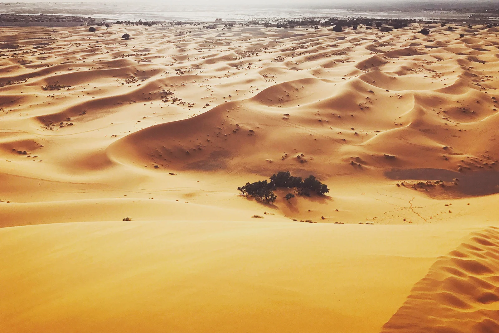 desert.jpg