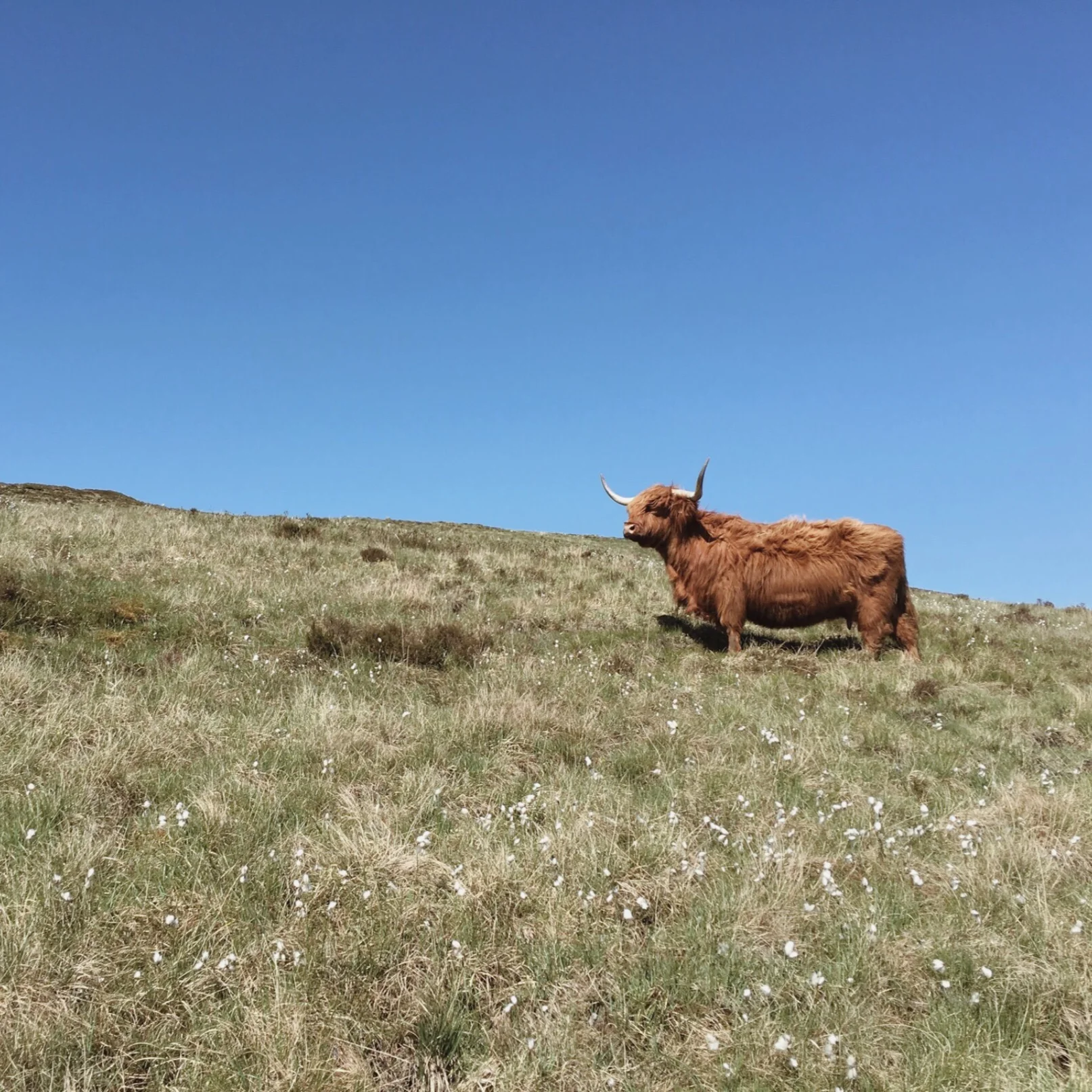 Scotland Travel Guide