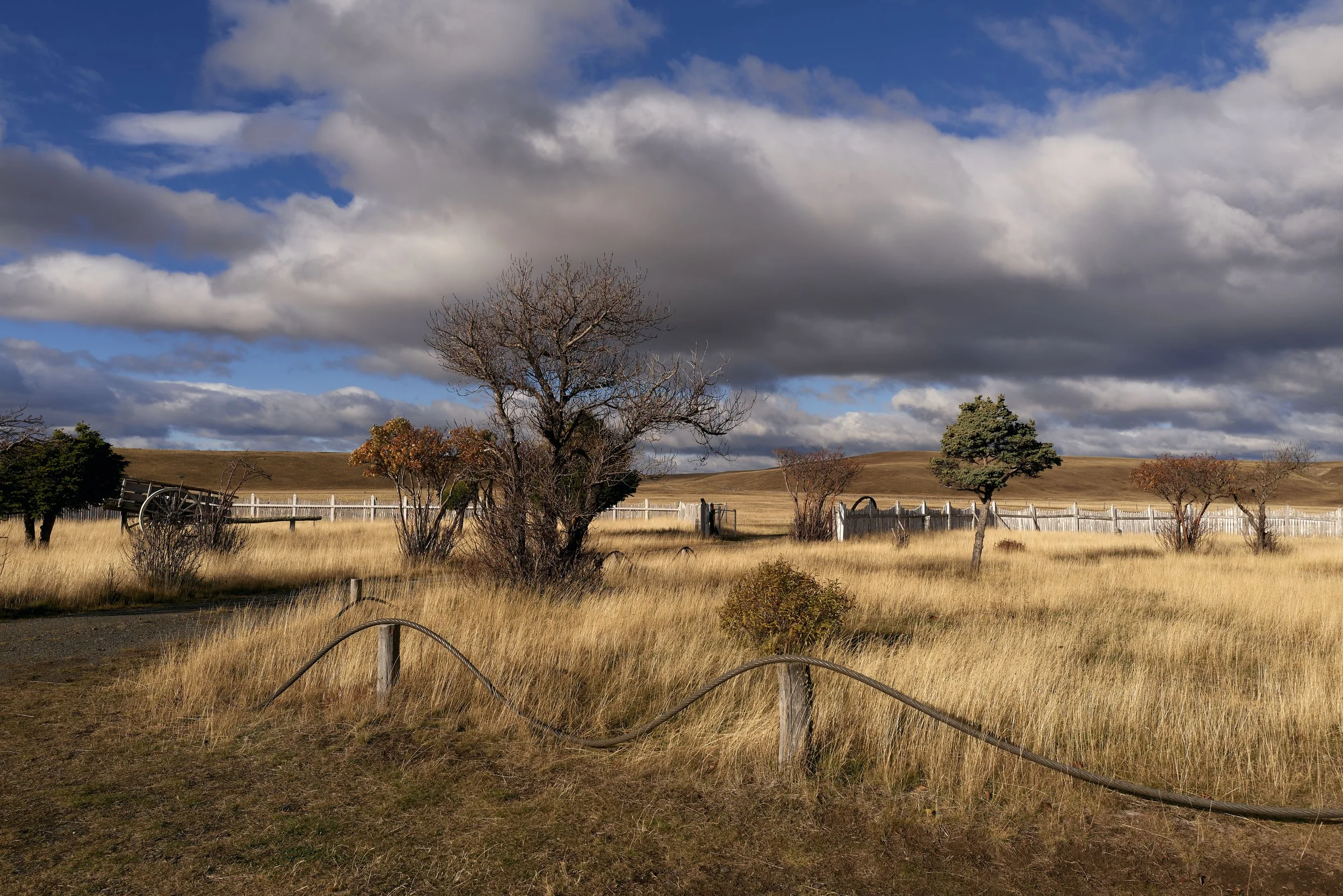 JPT26_PATAGONIA 8.jpg
