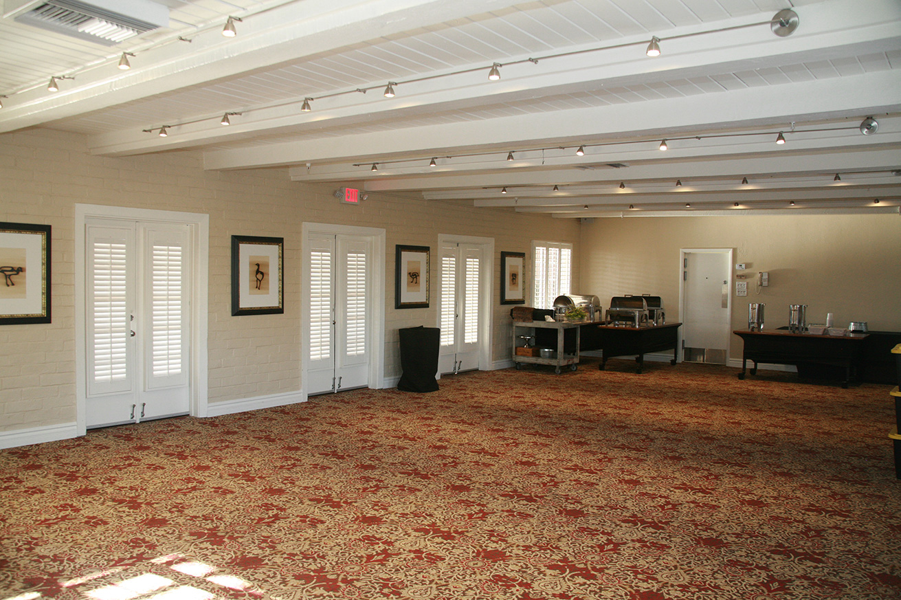 Westward Look Compressed 2.jpg