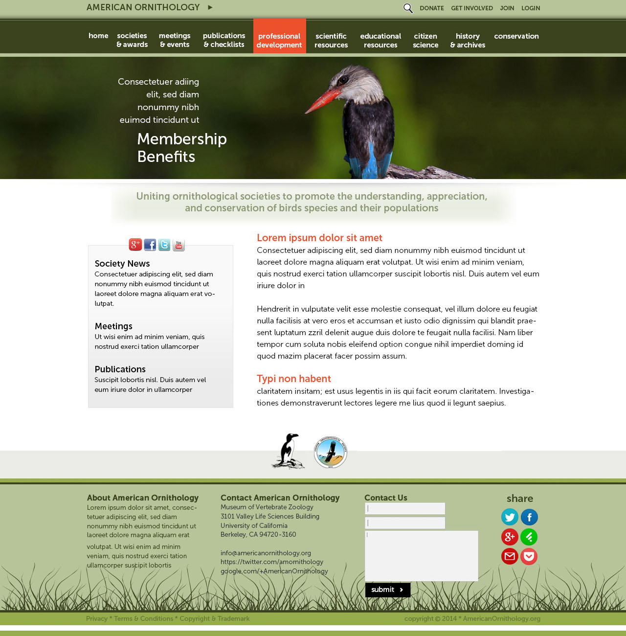 mockup-backpage-001.jpg
