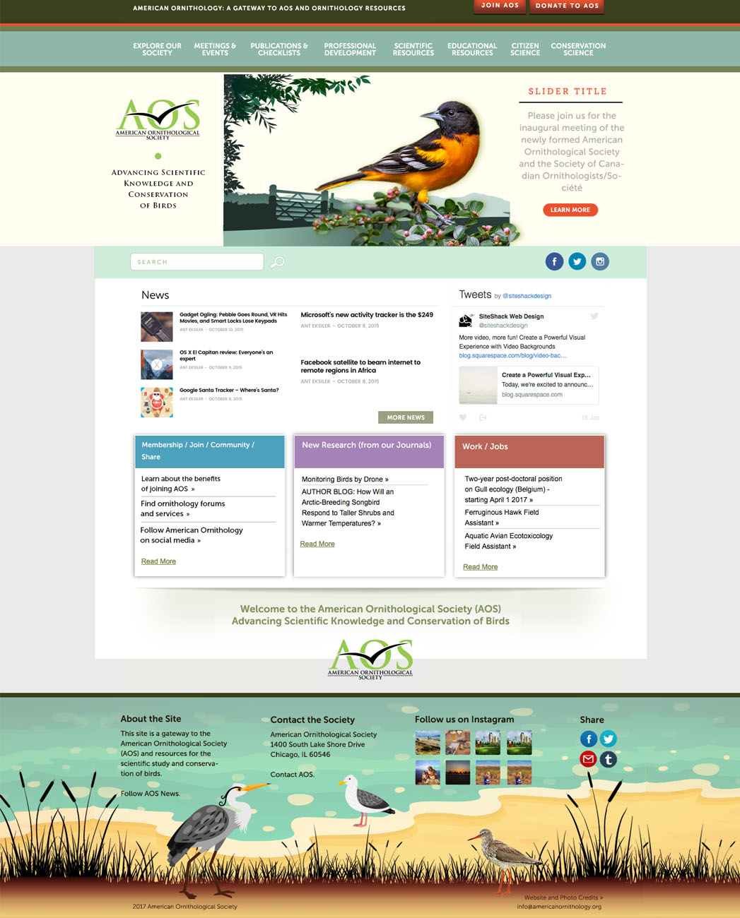 mockup-homepage-003.jpg