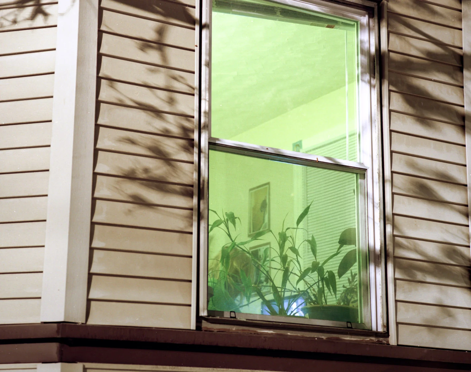 window.27010.jpg