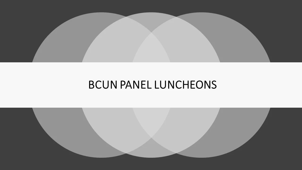 Member-driven luncheons offer a venue for leaders from the international community and private sector to talk about issues that directly impact the global business environment. Generally held at the UN Delegates Dining Room, these events include Q & A sessions as well as networking receptions. Recent themes include non-communicable diseases, the ageing global population, disaster risk management, and sustainable energy. Panelists have included Permanent Representatives from UN Member States, senior UN Officials, and executives from civil society organizations and BCUN member companies. BCUN members have the opportunity to sponsor and help curate these events.