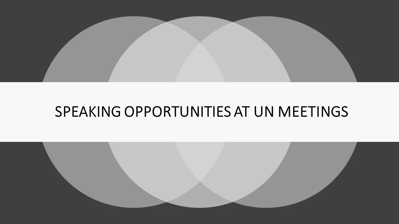 BCUN Members can share their views or experience with the global community at select UN meetings. Members have spoken at the UNGC Private Sector Forum, Every Woman Every Child High-Level Events, side events at the Financing for Development Conference in Addis Ababa, as well as numerous high-level events and panels in the lead-up and during the UN General Assembly.