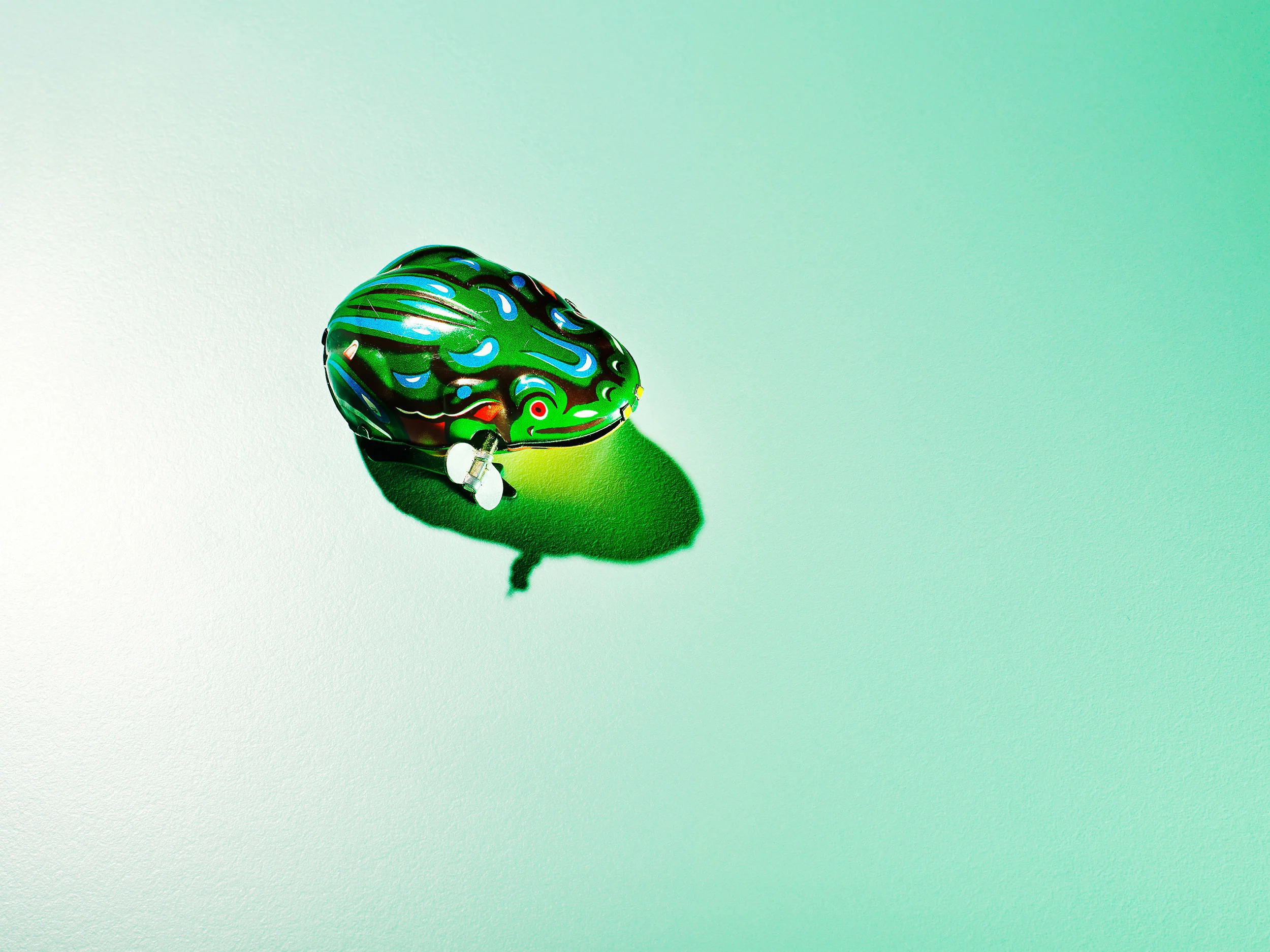 21_Frog.jpg