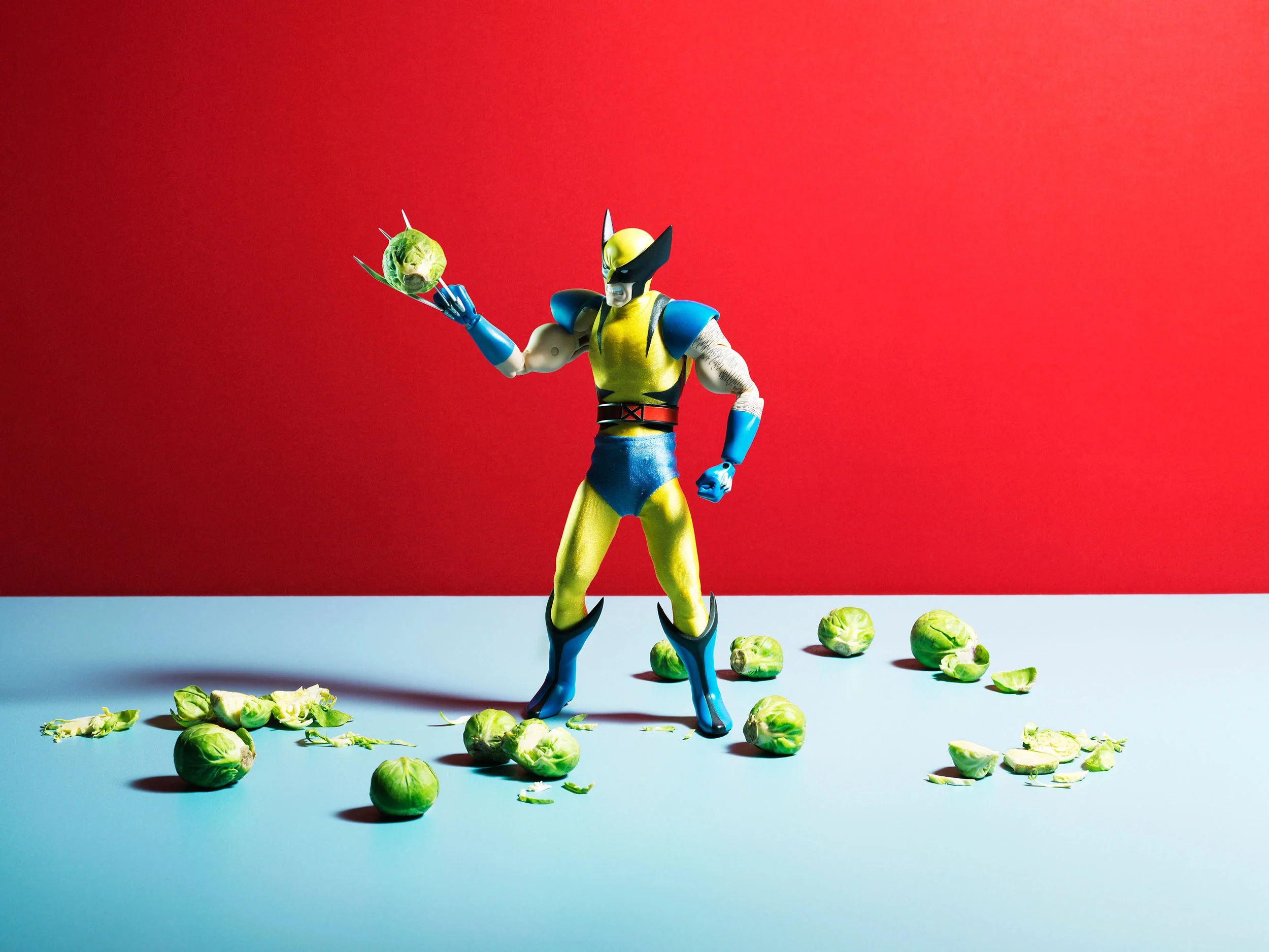 29_Wolverine.jpg