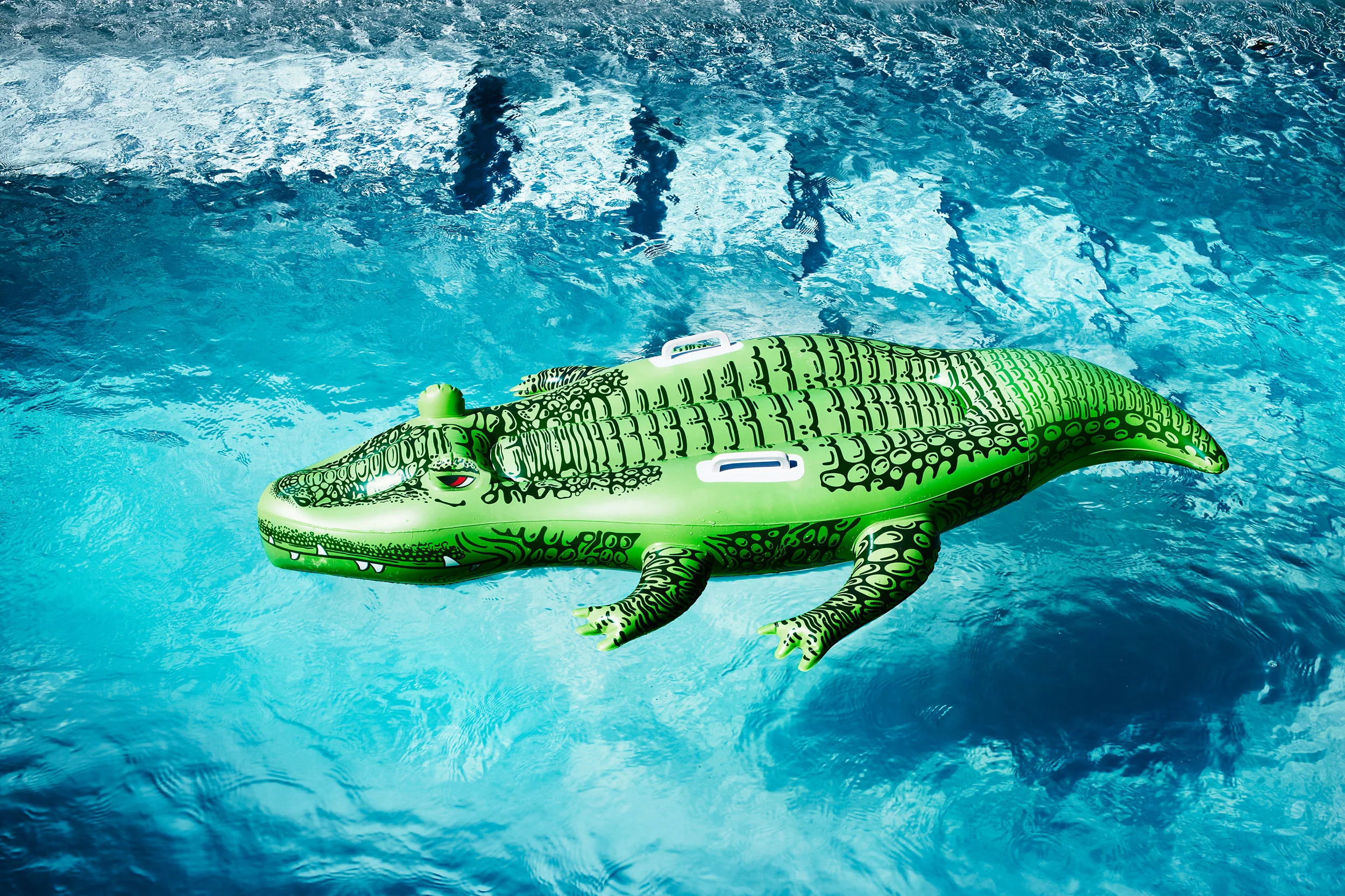 36_Croc.jpg