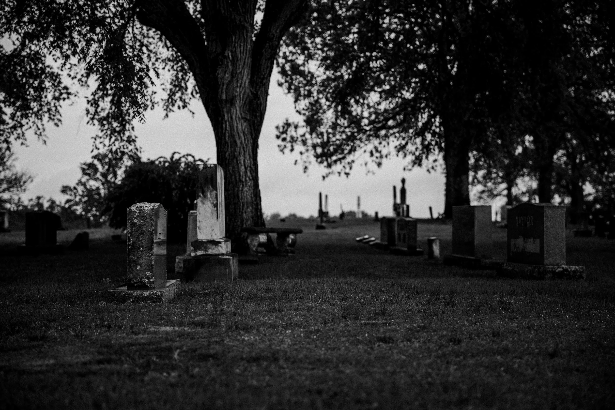 cemetery_as_shot_level.jpg