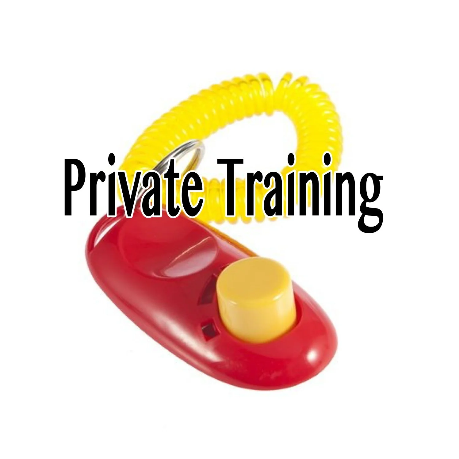 Private Training.jpeg