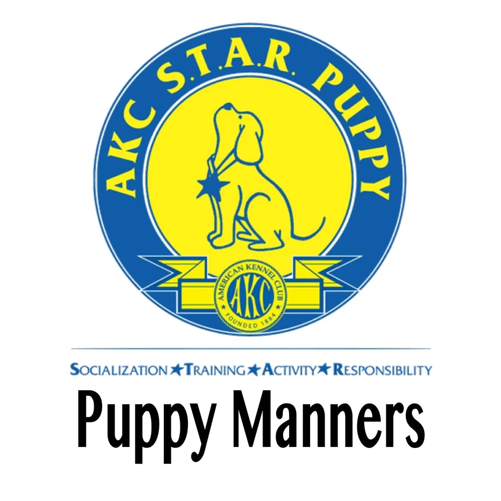 Dog Training Star Puppy Classes Akc Star Puppy Curriculum Ready