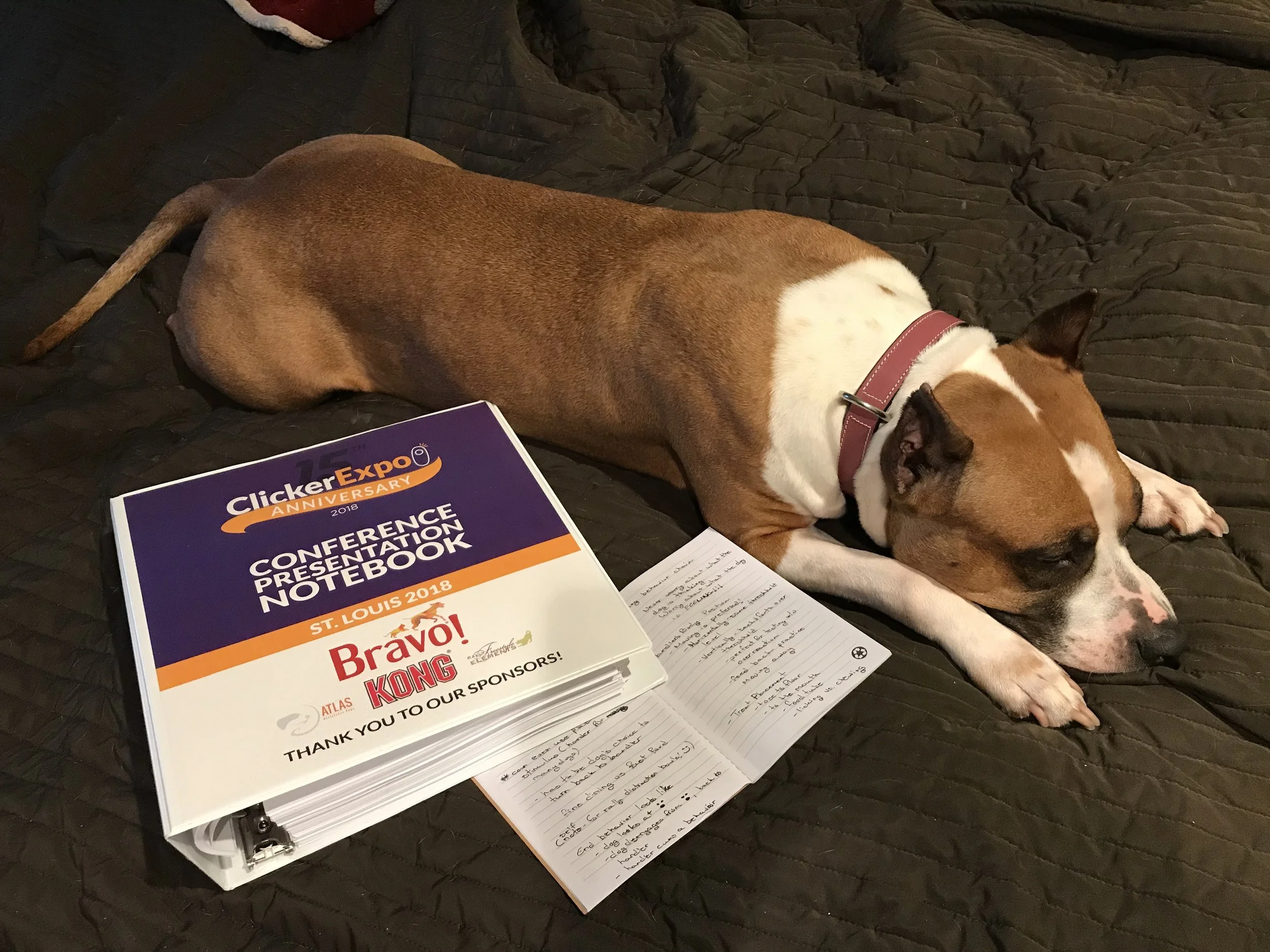 Cherry, also studying
