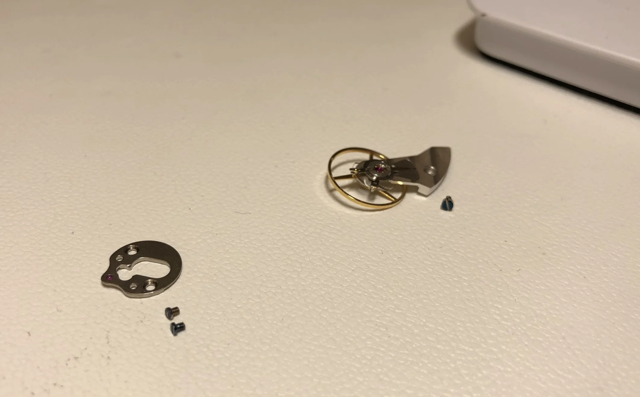 The balance wheel and spring