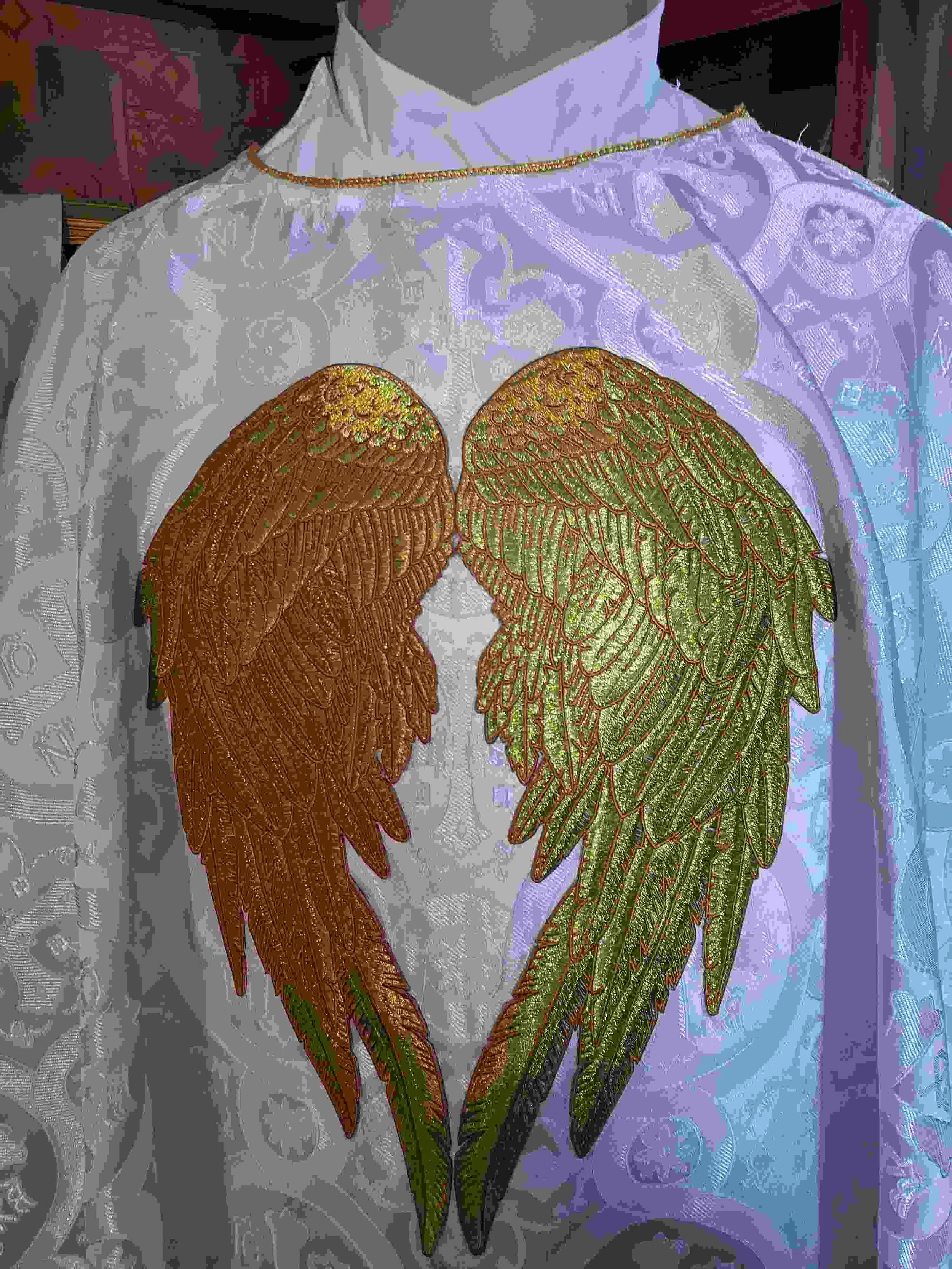 angelwingsfullfront (1).jpg