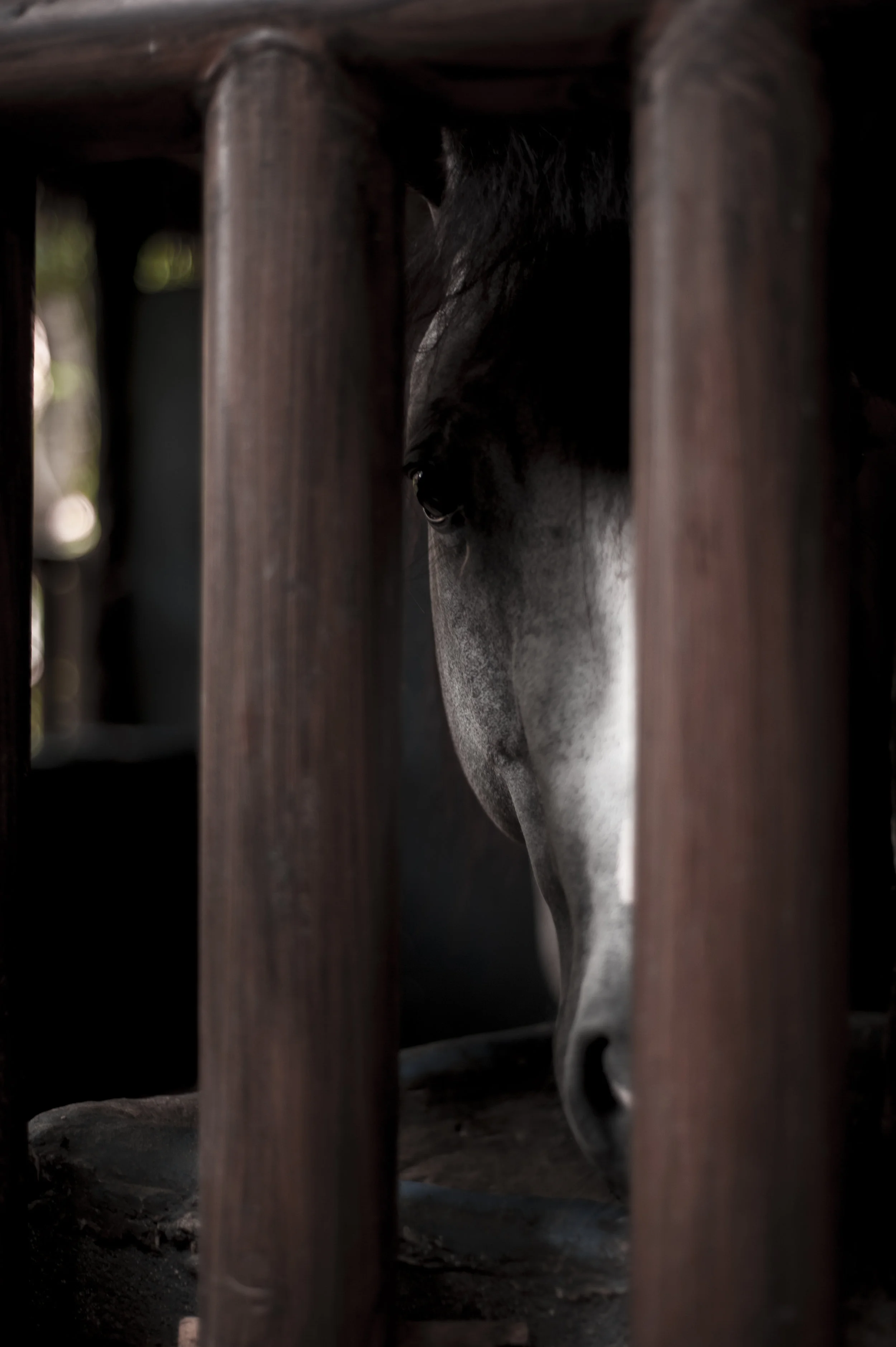 Xcaret Park, Quintana Roo, Mexico