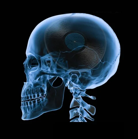 Dacron Duvet - Black's Backbone feat. NAE - Single Release