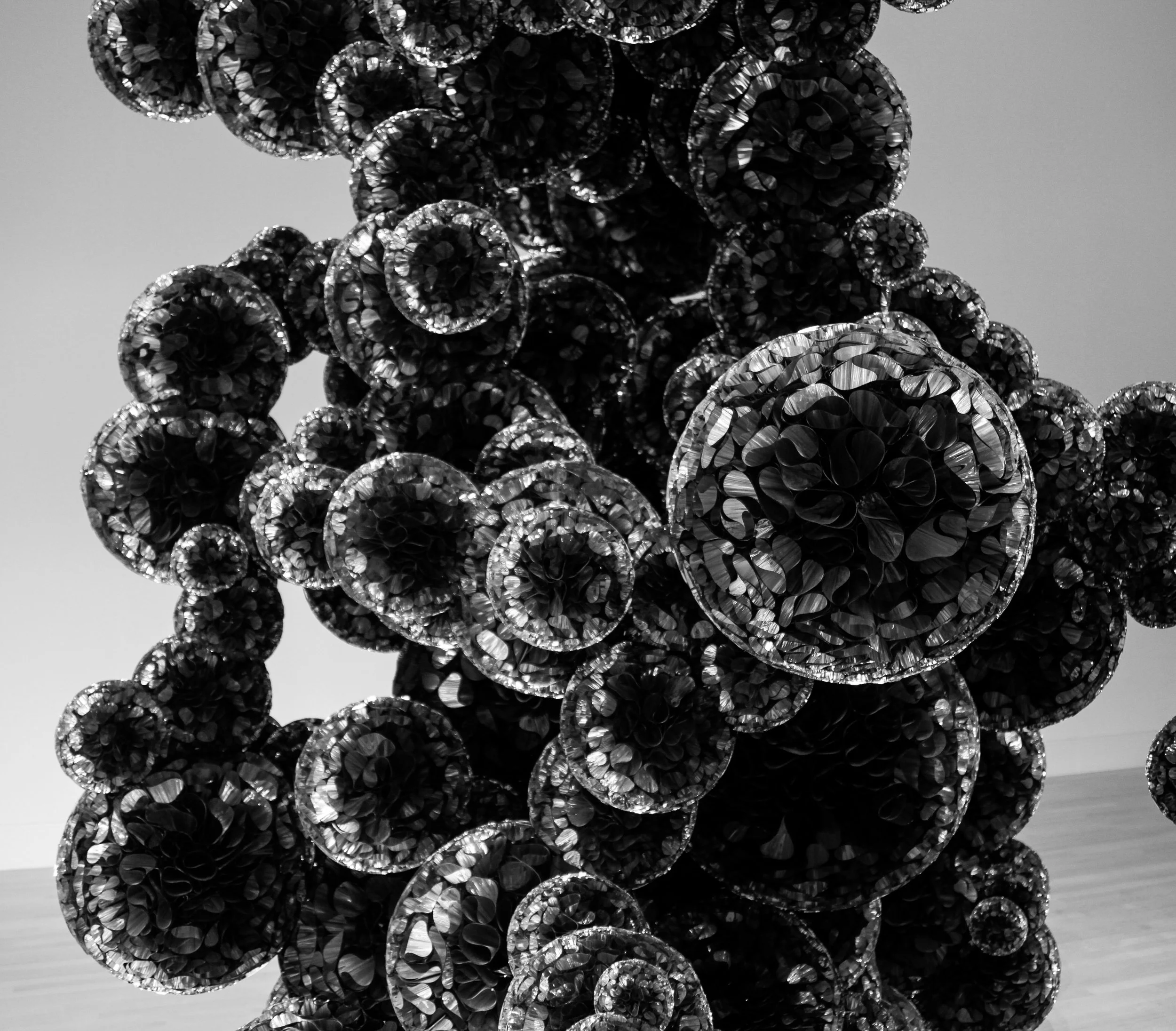 IMA