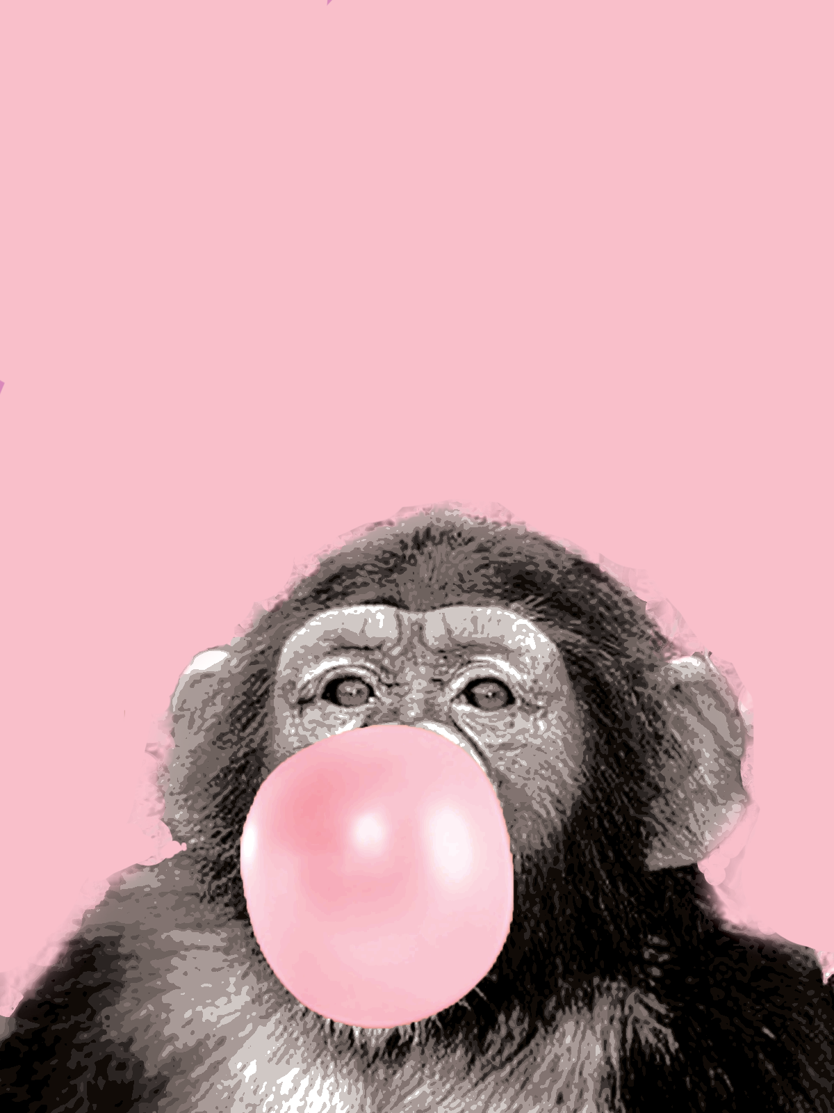 monkey.png