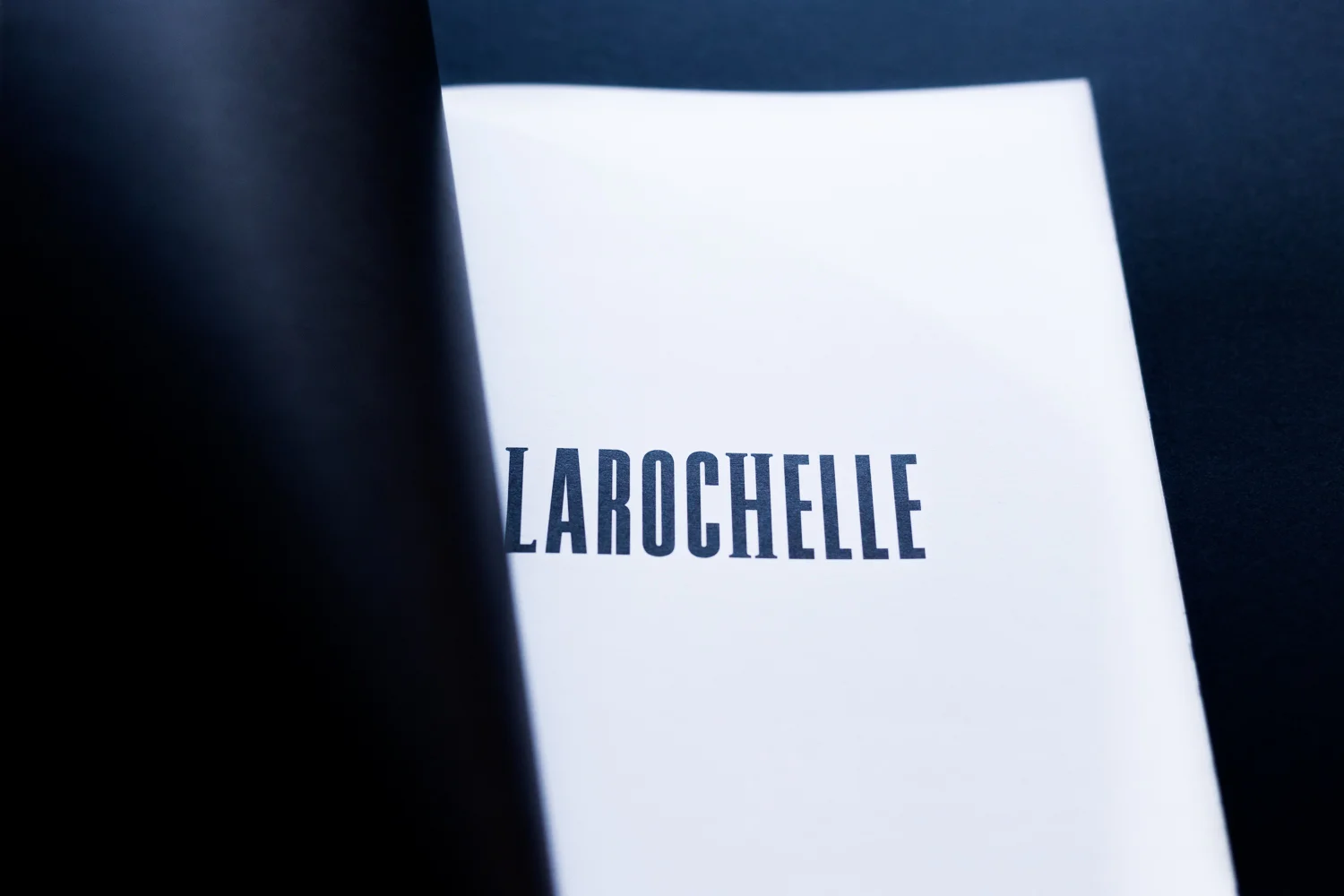 RefonteGraphique07©SandraLarochelle.jpg