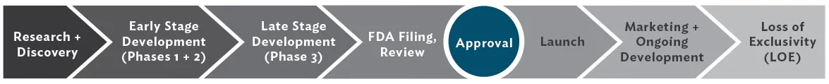 BrigaitisAssociates_ProductLifecycle_Timeline.jpg