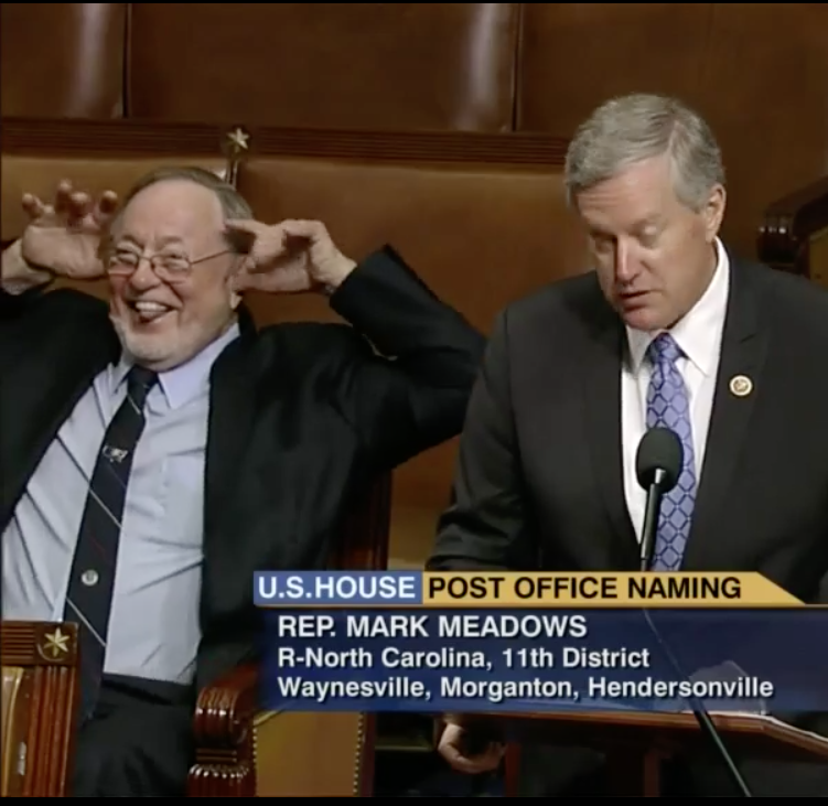 Young calls himself the "adult in the room" on his ads