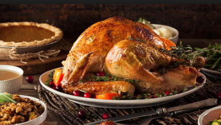 The economics of Alaska political turkeys